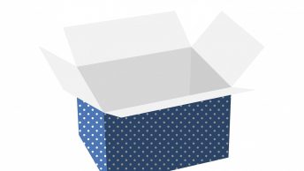 flap shipping box